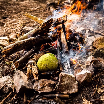 Forage & Feast: May, June, July