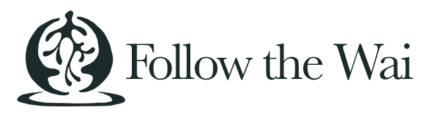 Follow the Wai with Yuda Abitbol